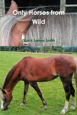 Only Horses from Wild(English, Paperback, Smith David James)