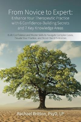 From Novice to Expert - Enhance Your Therapeutic Practice with 6 Confidence-Building Secrets and 7 Key Knowledge Areas(English, Paperback, Britton Psyd Rachael)