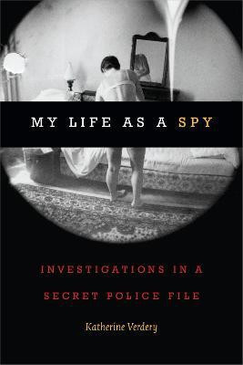 My Life as a Spy(English, Paperback, Verdery Katherine)