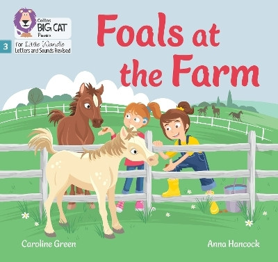 Foals at the Farm(English, Paperback, Green Caroline)
