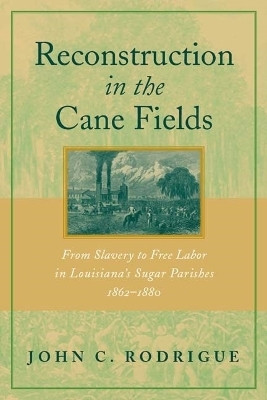 Reconstruction in the Cane Fields(English, Paperback, Rodrigue John C.)