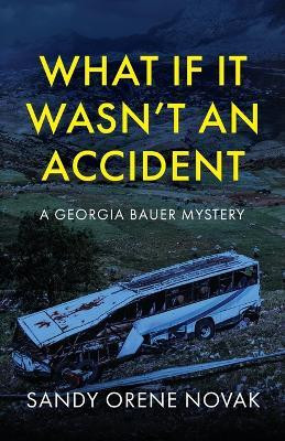 What if it Wasn't an Accident(English, Paperback, Novak Sandy Orene)