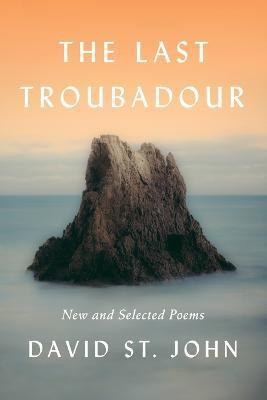 The Last Troubadour(English, Paperback, John David St.)