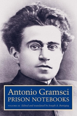 Prison Notebooks(English, Paperback, Gramsci Antonio)