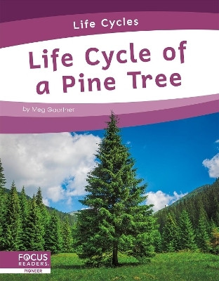 Life Cycles: Life Cycle of a Pine Tree(English, Paperback, Gaertner Meg)