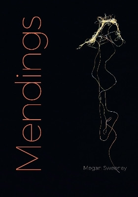 Mendings(English, Paperback, Sweeney Megan)