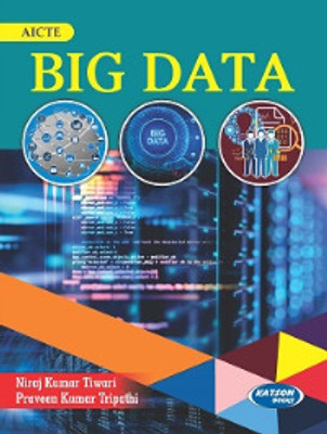 Big Data(Paperback, Niraj Kumar Tiwari, Praveen Kumar Tripathi)