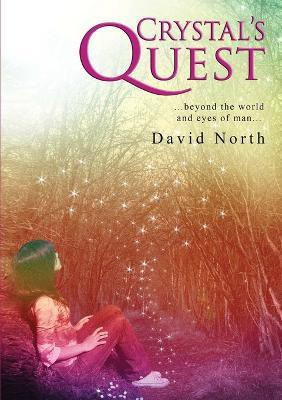 Crystal's Quest(English, Paperback, North David)