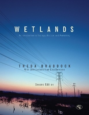 Wetlands(English, Paperback, Braddock Theda)