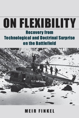 On Flexibility(English, Paperback, Finkel Meir)