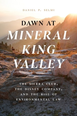 Dawn at Mineral King Valley(English, Paperback, Selmi Daniel P.)