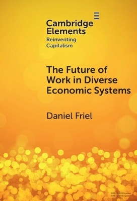 The Future of Work in Diverse Economic Systems(English, Hardcover, Friel Daniel)