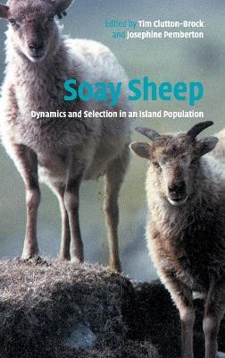 Soay Sheep(English, Hardcover, unknown)