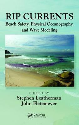 Rip Currents(English, Electronic book text, unknown)