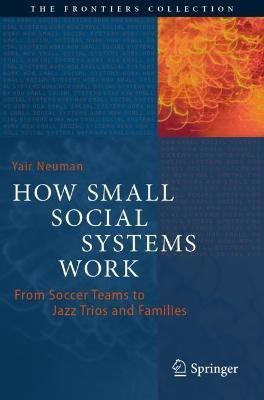 How Small Social Systems Work(English, Paperback, Neuman Yair)