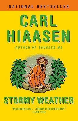 Stormy Weather(English, Paperback, Hiaasen Carl)