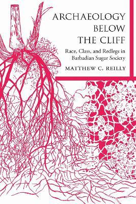 Archaeology Below the Cliff(English, Hardcover, Reilly Matthew C.)