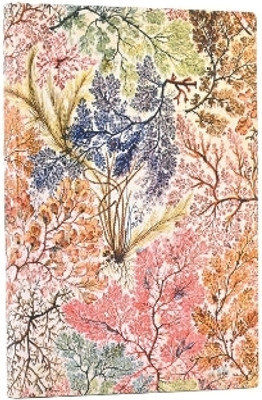 Anemone (William Kilburn) Mini Lined Softcover Flexi Journal (Elastic Band Closure)(English, Paperback, Paperblanks)