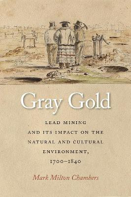 Gray Gold(English, Hardcover, Chambers Mark)