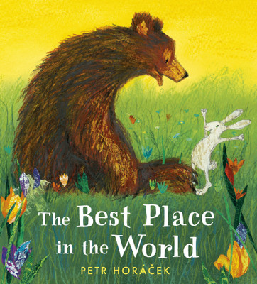 The Best Place in the World(English, Hardcover, Horacek Petr)