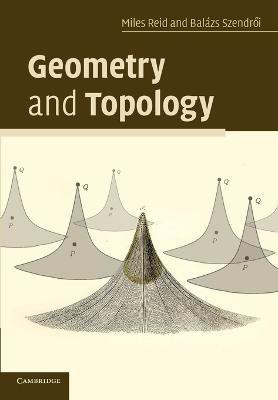 Geometry and Topology(English, Paperback, Reid Miles)
