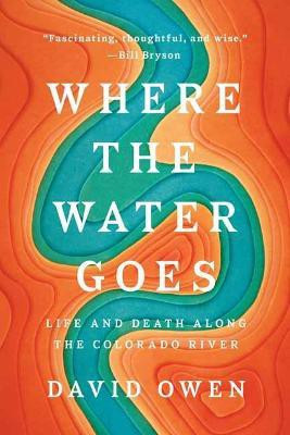 Where the Water Goes(English, Paperback, Owen David)