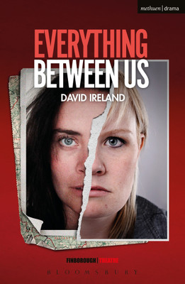 Everything Between Us(English, Paperback, Ireland David)