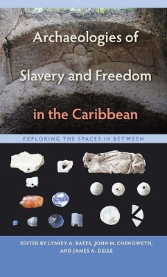 Archaeologies of Slavery and Freedom in the Caribbean(English, Paperback, unknown)