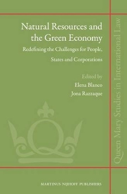 Natural Resources and the Green Economy(English, Electronic book text, unknown)