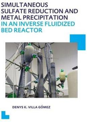 Simultaneous Sulfate Reduction and Metal Precipitation in an Inverse Fluidized Bed Reactor(English, Paperback, Villa Gomez Denys Kristalia)