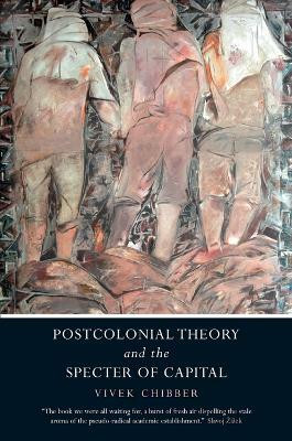 Postcolonial Theory and the Specter of Capital(English, Paperback, Chibber Vivek)