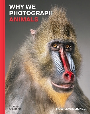 Why We Photograph Animals(English, Hardcover, Lewis-Jones Huw)