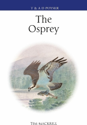 The Osprey(English, Hardcover, Mackrill Tim)