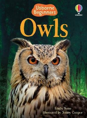 Owls(English, Hardcover, Bone Emily)