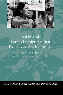 Asian and Latino Immigrants in a Restructuring Economy(English, Hardcover, unknown)