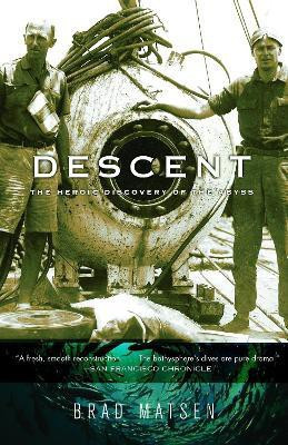 Descent(English, Paperback, Matsen Brad)