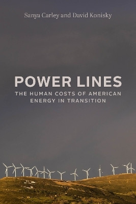 Power Lines(English, Hardcover, Carley Sanya)