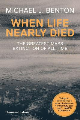 When Life Nearly Died(English, Paperback, Benton Michael J.)