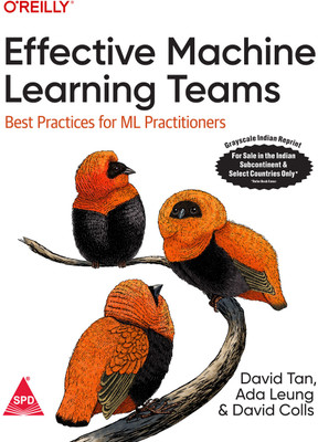 Effective Machine Learning Teams: Best Practices for ML Practitioners (Grayscale Indian Edition)(Paperback, David Tan, Ada Leung, David Colls)