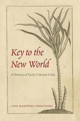 Key to the New World(English, Paperback, Martinez-Fernandez Luis)
