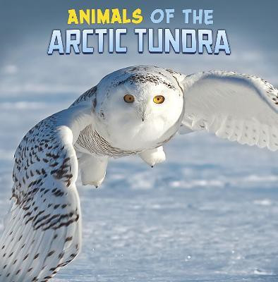 Animals of the Arctic Tundra(English, Paperback, Rustad Martha E. H.)