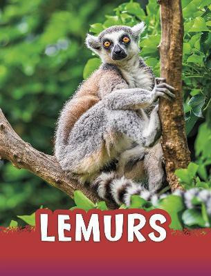Lemurs(English, Paperback, Jaycox Jaclyn)
