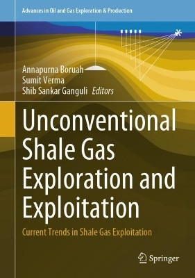 Unconventional Shale Gas Exploration and Exploitation(English, Hardcover, unknown)