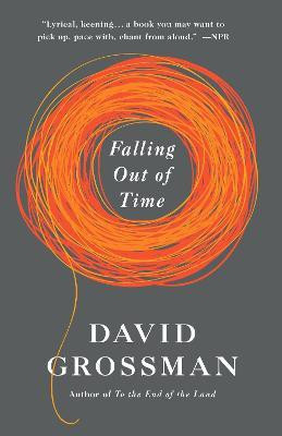 Falling Out of Time(English, Paperback, Grossman David)