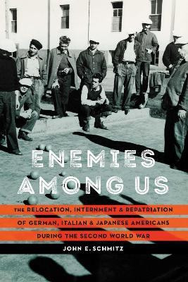 Enemies Among Us(English, Hardcover, Schmitz John E.)