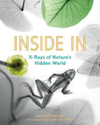 Inside In(English, Paperback, Schutten Jan Paul)