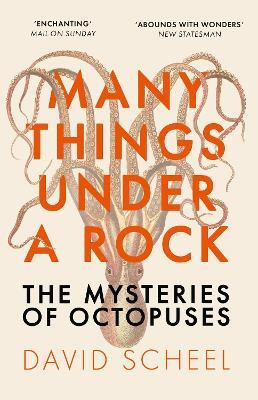 Many Things Under a Rock(English, Paperback, Scheel David)