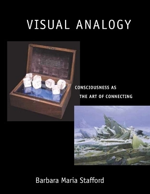 Visual Analogy(English, Paperback, Stafford Barbara Maria)