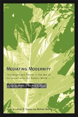 Mediating Modernity(English, Paperback, Wayne State University Press)