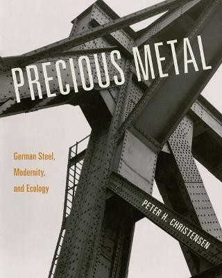 Precious Metal(English, Hardcover, Christensen Peter H.)